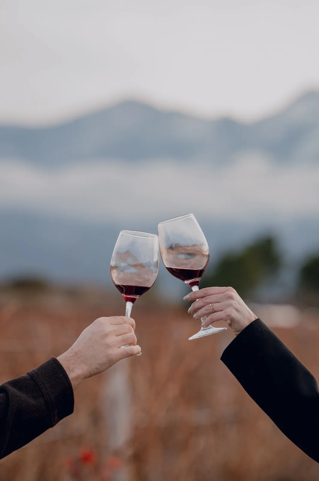 Brindis con copas de vino tinto frente a las montañas